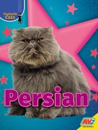 Enlarge image Cover: Persian - Av2