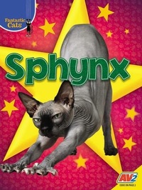 Enlarge image Cover: Sphynx - Av2