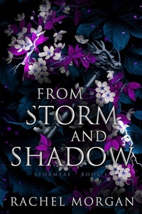 Abbildung von: From Storm and Shadow - Rachel Morgan