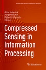 Cover: Compressed Sensing in Information Processing - Birkhäuser