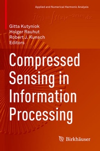 Enlarge image Cover: Compressed Sensing in Information Processing - Birkhäuser
