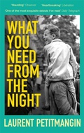 Cover: What You Need From The Night - Picador