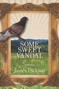 Cover: Some Sweet Vandal - Kelsay Books
