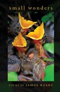 Cover: Small Wonders - Finishing Line Press