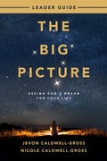 Cover: The Big Picture Leader Guide - Abingdon Press