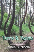 Cover: Turns & Twists - Cyberwit.Net