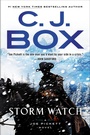Cover: Storm Watch - G P Putnam's Sons