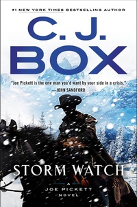 Enlarge image Cover: Storm Watch - G P Putnam's Sons
