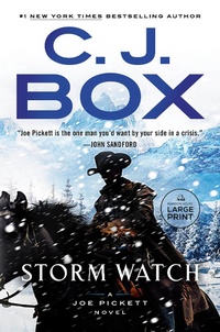 Enlarge image Cover: Storm Watch - Random House Large Print