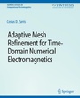 Cover: Adaptive Mesh Refinement in Time-Domain Numerical Electromagnetics - Springer