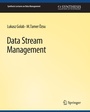 Cover: Data Stream Management - Springer