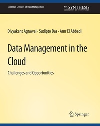 Abbildung von: Data Management in the Cloud - Springer