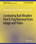Cover: Combating Bad Weather Part II - Springer