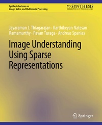 Enlarge image Cover: Image Understanding using Sparse Representations - Springer