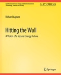 Cover: Hitting the Wall - Springer