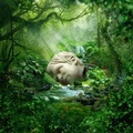 Cover: SZNZ:Spring - Warner Music Group Germany Holding GmbH / Hamburg