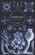 Cover: Startling - Faber & Faber