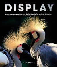 Abbildung von: Display - Ivy Press
