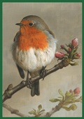 Cover: Vorzugsausgabe: Atlas Deutscher Brutvogelarten (ADEBAR) - Favoritenpresse GmbH