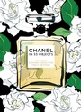 Cover: Chanel in 55 Objects - Welbeck