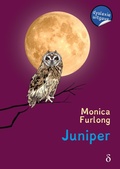 Cover: Juniper - Sunny Afternoon