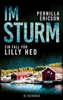Cover: Im Sturm - S. Fischer