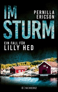 Abbildung von: Im Sturm - S. Fischer