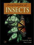 Cover: Encyclopedia of Insects - Academic Press