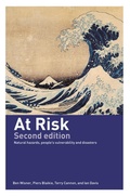 Cover: At Risk - Routledge