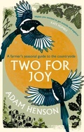 Cover: Two for Joy - Sphere