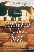 Cover: Cornered by the Dark - Iron Pen