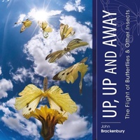Abbildung von: Up, Up and Away - Brown Dog Books