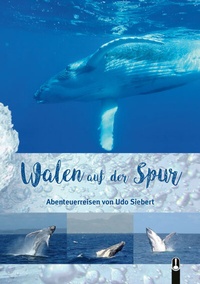 Abbildung von: Walen auf der Spur - Hille, Ch