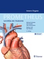 Bild: PROMETHEUS Innere Organe - Thieme