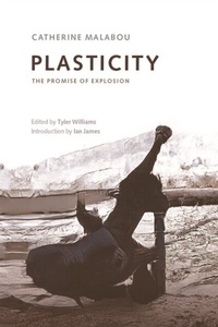 Enlarge image Cover: Plasticity - Edinburgh University Press