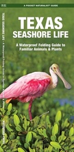 Cover: Texas Seashore Life, 3rd Ed - Waterford Press Ltd