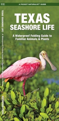 Enlarge image Cover: Texas Seashore Life, 3rd Ed - Waterford Press Ltd