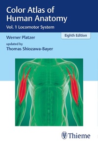 Abbildung von: Color Atlas of Human Anatomy - Thieme