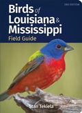 Cover: Birds of Louisiana & Mississippi Field Guide - Adventure Publications