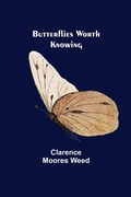Cover: Butterflies Worth Knowing - ALPHA EDITION