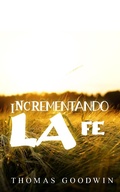 Cover: Incrementando la fe - FELIPE CHAVARRO POLAN&Iacute;A INC