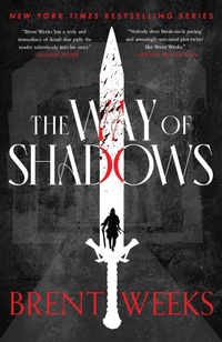 Enlarge image Cover: The Way Of Shadows - Orbit