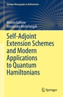 Cover: Self-Adjoint Extension Schemes and Modern Applications to Quantum Hamiltonians - Springer