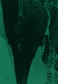 Cover: Kudzanai-Violet Hwami - Verlag f&uuml;r Moderne Kunst
