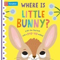 Cover: Where is Little Bunny? - Campbell Books Ltd