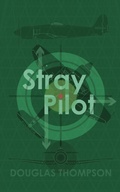 Cover: Stray Pilot - Elsewhen Press