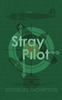 Abbildung von: Stray Pilot - Elsewhen Press