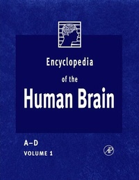 Abbildung von: Encyclopedia of the Human Brain - Academic Press