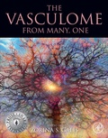 Bild: The Vasculome - Academic Press