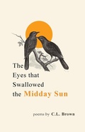 Cover: The Eyes That Swallowed the Midday Sun - Shadow Leaf Press